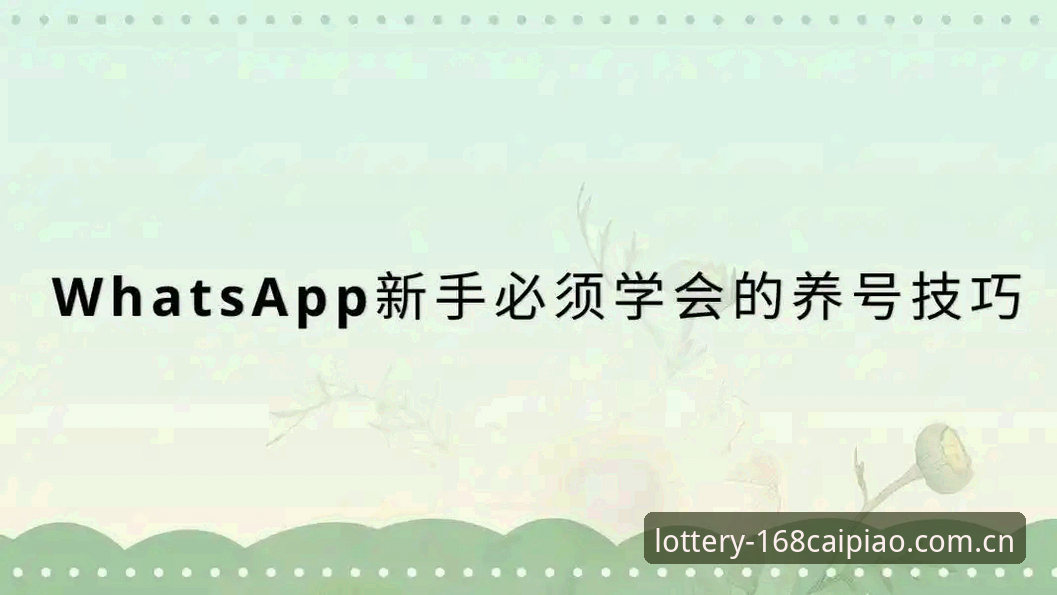 168彩票官方版app下载实用指南：新手必备知识